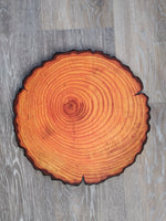 Wood Log Slices #1 (4 slices) 15" Round