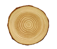 Wood Log Slices #4 (4 slices) 15" Round